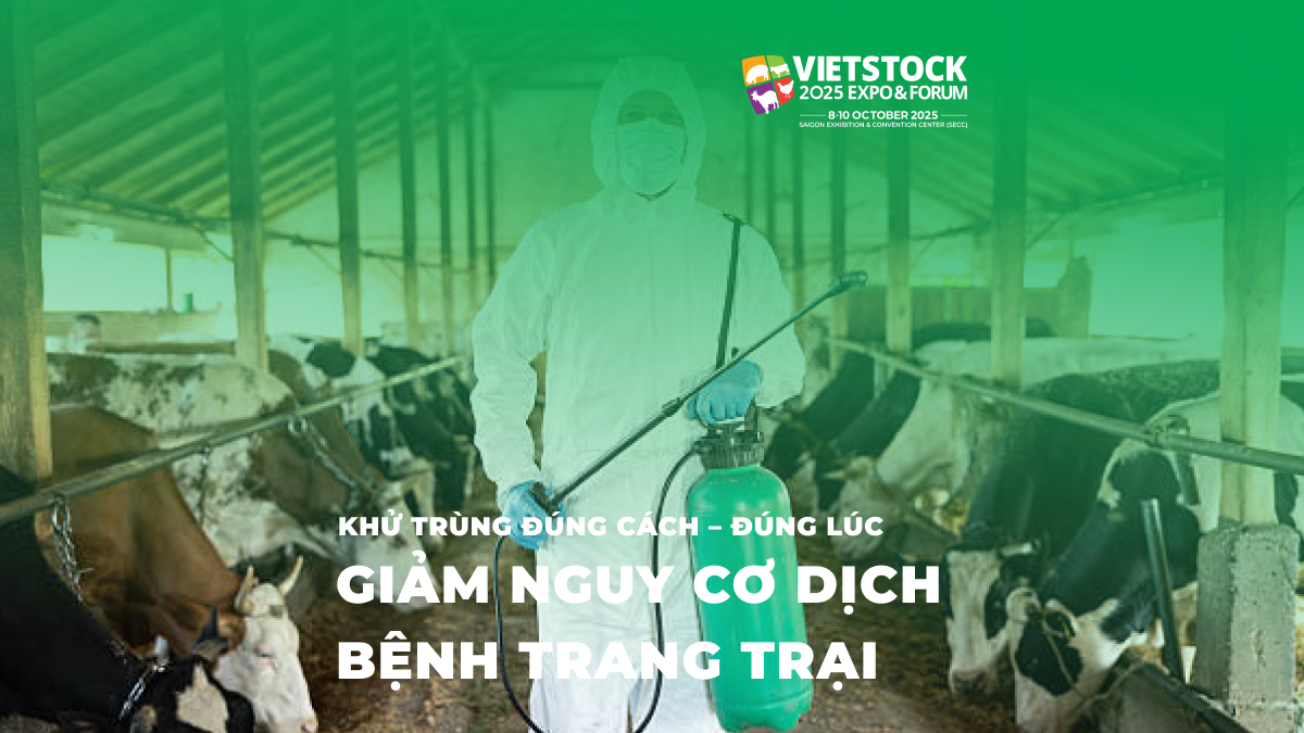 Khử Trùng Đúng Cách – Đúng Lúc, Giảm Nguy Cơ Dịch Bệnh Trang Trại 